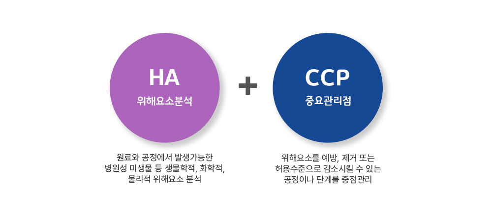 HACCP 이미지